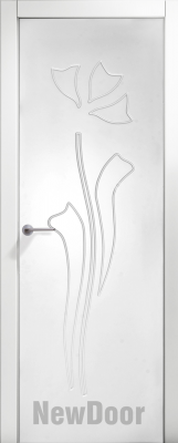 Newdoor 17