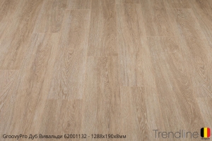 Trendine Дуб Вивальди 62001151