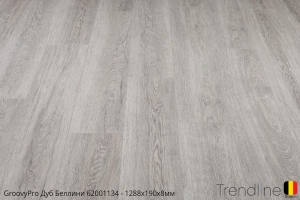 Trendline Дуб Белинни 62001134