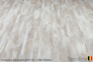 Trendline Дуб Белый 62001137