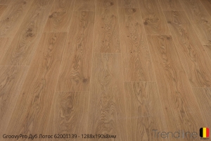 Trendline Дуб Лотос 62001139