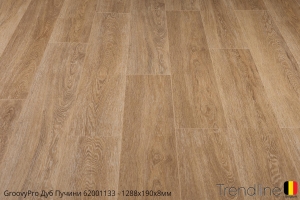 Trendline Дуб Пучинни 62001133