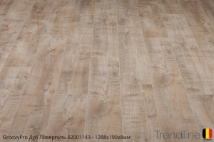 Trendline Дуб Ливерпуль 62001143