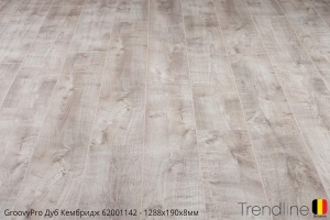 Trendline Дуб Кембридж 62001142