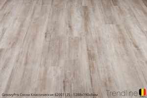 Trendline Сосна Классическая 62001135