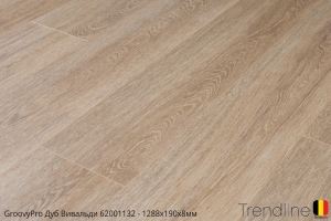 Trendine Дуб Вивальди 62001151