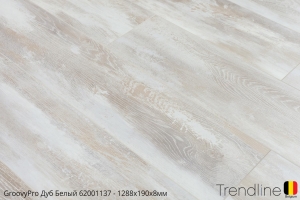 Trendline Дуб Белый 62001152