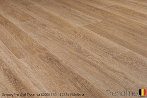 Trendline Дуб Пучинни 62001133