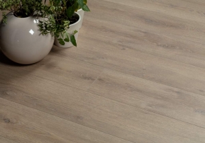Французский ламинат 33класс 8мм AC5 Alsafloor (Альсафлор) OSMOZE 529 Дуб Миндаль (Almond oak)
