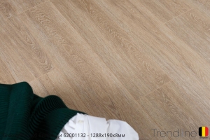 Trendine Дуб Вивальди 62001151
