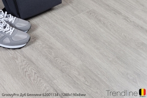 Trendline Дуб Белинни 62001134