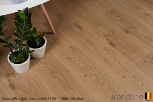 Trendline Дуб Лотос 62001139