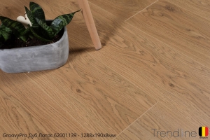 Trendline Дуб Лотос 62001139
